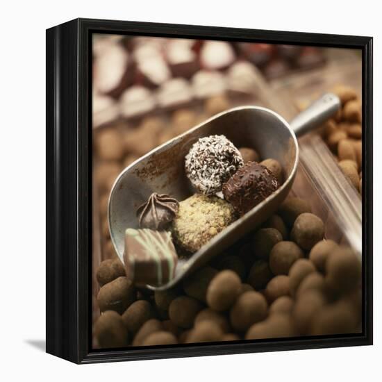 Chocolate Truffles-Joshua Dalsimer-Framed Premier Image Canvas