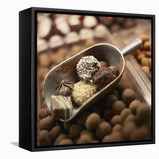 Chocolate Truffles-Joshua Dalsimer-Framed Premier Image Canvas