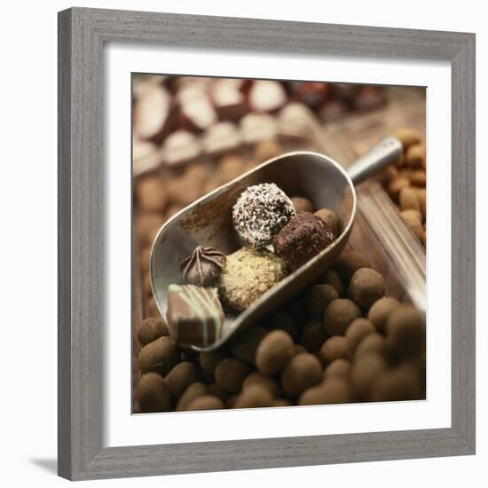 Chocolate Truffles-Joshua Dalsimer-Framed Photographic Print