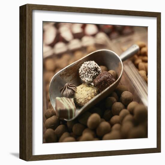 Chocolate Truffles-Joshua Dalsimer-Framed Photographic Print