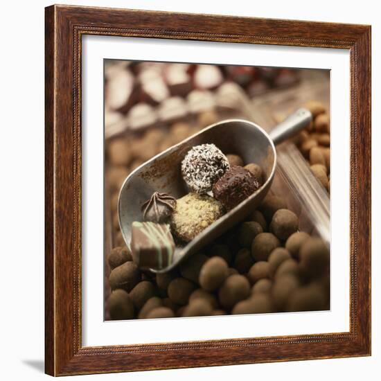 Chocolate Truffles-Joshua Dalsimer-Framed Photographic Print