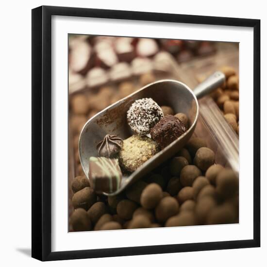 Chocolate Truffles-Joshua Dalsimer-Framed Photographic Print