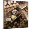 Chocolate Truffles-Joshua Dalsimer-Mounted Photographic Print