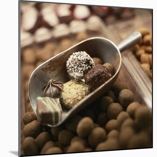 Chocolate Truffles-Joshua Dalsimer-Mounted Photographic Print