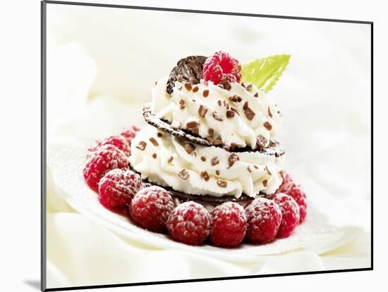 Chocolate Wafer and Cream Fancy Garnished with Raspberries-null-Mounted Photographic Print