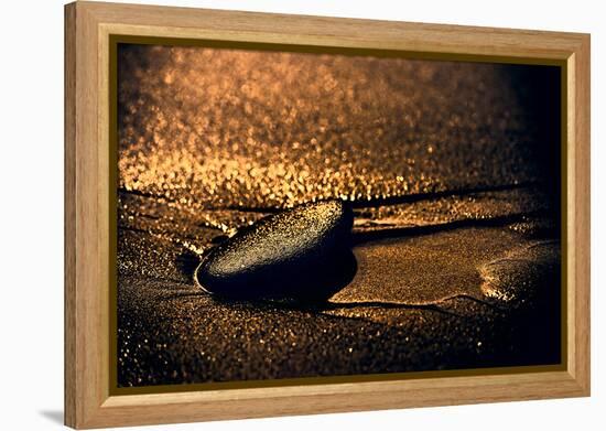 Chocolate Zen-Ursula Abresch-Framed Premier Image Canvas