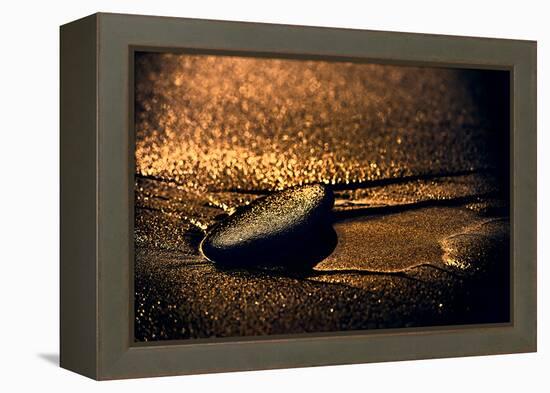 Chocolate Zen-Ursula Abresch-Framed Premier Image Canvas