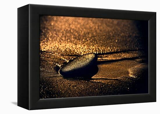 Chocolate Zen-Ursula Abresch-Framed Premier Image Canvas