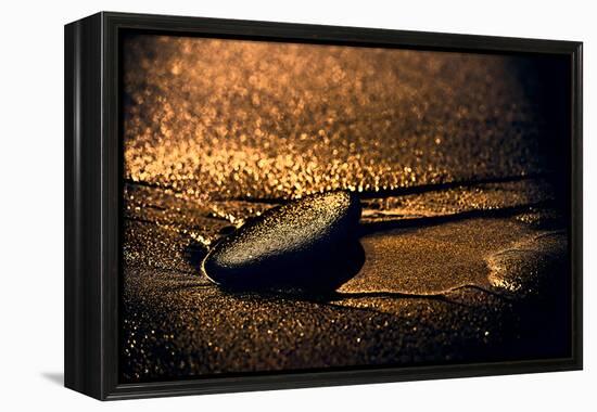 Chocolate Zen-Ursula Abresch-Framed Premier Image Canvas