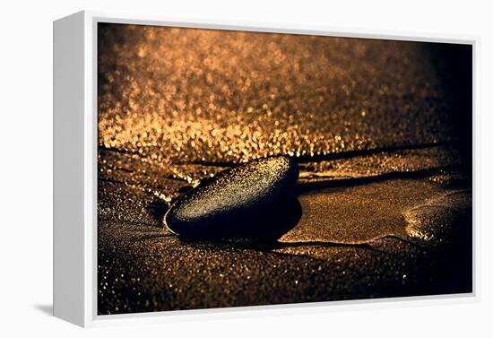 Chocolate Zen-Ursula Abresch-Framed Premier Image Canvas