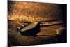 Chocolate Zen-Ursula Abresch-Mounted Photographic Print