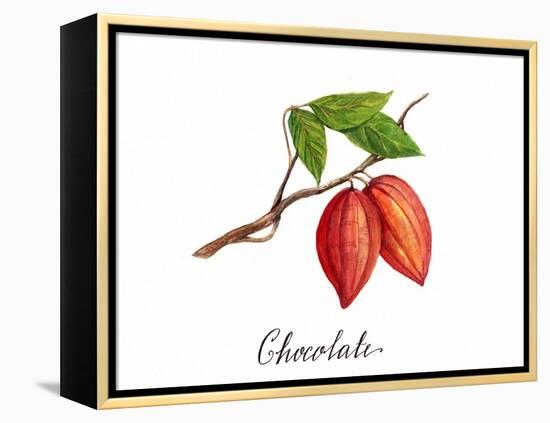 Chocolate-Irina Trzaskos Studio-Framed Premier Image Canvas