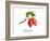 Chocolate-Irina Trzaskos Studio-Framed Giclee Print