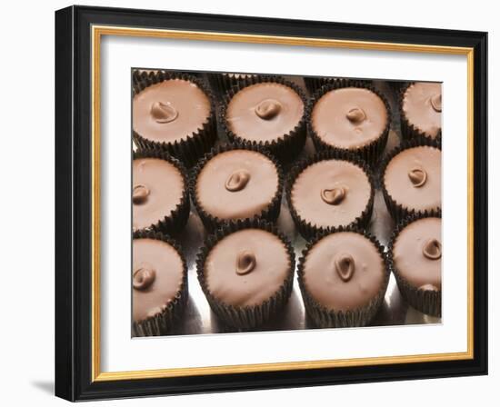 Chocolates at the Ganong Chocolate Factory, New Brunswick, Canada, North America-Michael DeFreitas-Framed Photographic Print