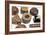 Chocolates-Johnny Greig-Framed Photographic Print