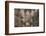 Choir of Winchester Cathedral, Hampshire, early 20th century(?)-Unknown-Framed Photographic Print