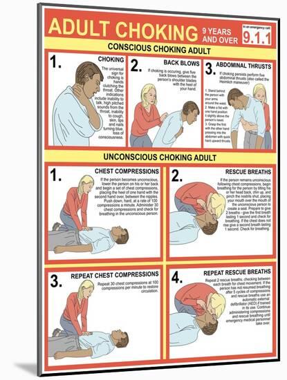 Choking First Aid Chart-Gwen Shockey-Mounted Giclee Print