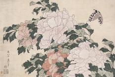 Pink and Red Peonies Blown to the Left in a Breeze and a Butterfly-Chokosai Eisho-Giclee Print
