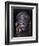 Chokwe dance mask of a type known as Mwana Pwo, Angola or DR Congo, 19th or 20th century-Werner Forman-Framed Photographic Print