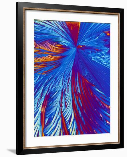 Cholesterol Crystals-PASIEKA-Framed Photographic Print