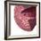 Cholesterol-Spencer Sutton-Framed Giclee Print