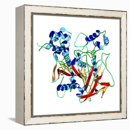 Cholinesterase Enzyme-Dr. Mark J.-Framed Premier Image Canvas