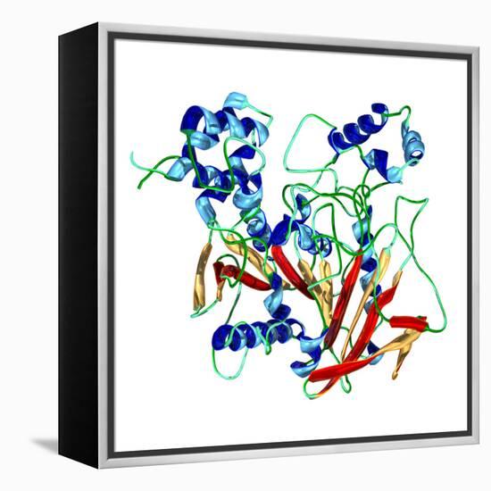 Cholinesterase Enzyme-Dr. Mark J.-Framed Premier Image Canvas