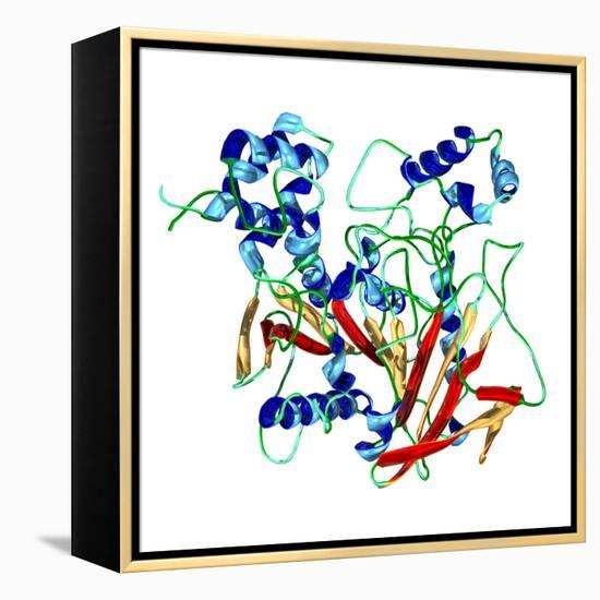 Cholinesterase Enzyme-Dr. Mark J.-Framed Premier Image Canvas