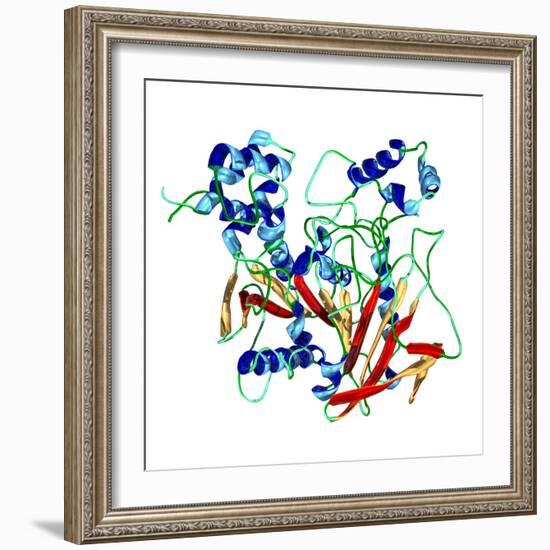 Cholinesterase Enzyme-Dr. Mark J.-Framed Premium Photographic Print