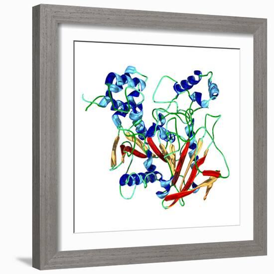 Cholinesterase Enzyme-Dr. Mark J.-Framed Premium Photographic Print