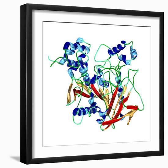 Cholinesterase Enzyme-Dr. Mark J.-Framed Premium Photographic Print