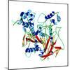 Cholinesterase Enzyme-Dr. Mark J.-Mounted Premium Photographic Print