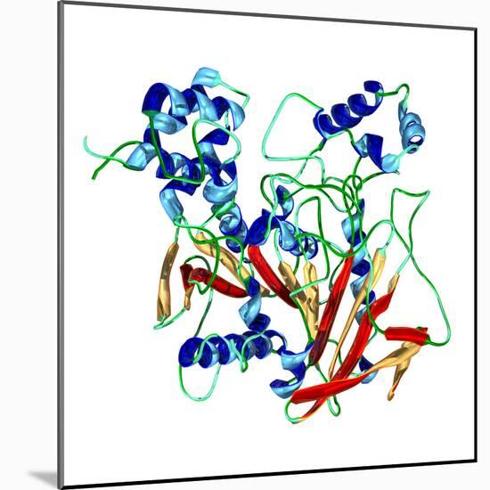 Cholinesterase Enzyme-Dr. Mark J.-Mounted Premium Photographic Print