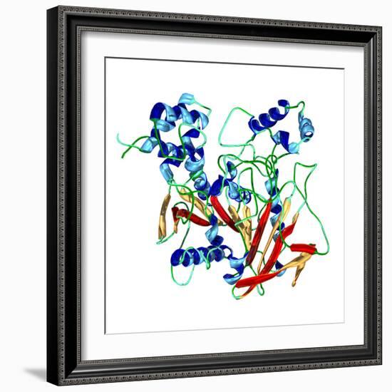 Cholinesterase Enzyme-Dr. Mark J.-Framed Premium Photographic Print