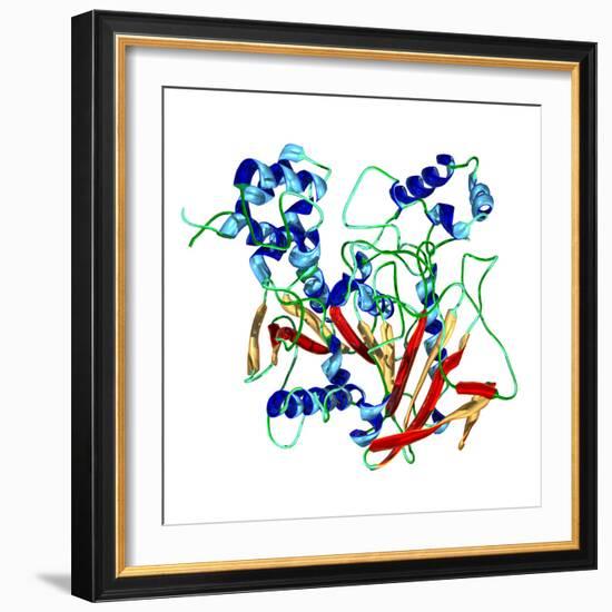 Cholinesterase Enzyme-Dr. Mark J.-Framed Premium Photographic Print