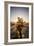 Cholla Along The Cholla Cactus Garden Trail In Joshua Tree National Park-Ron Koeberer-Framed Photographic Print