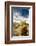 Cholla Blooms, Joshua Tree National Park, California, USA-Richard Duval-Framed Photographic Print