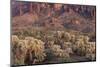 Cholla Cacti, Lost Dutchman State Park, Arizona, Usa-Rainer Mirau-Mounted Photographic Print