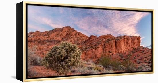 Cholla cactus and red rocks at sunrise, St. George, Utah, USA-null-Framed Premier Image Canvas