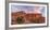 Cholla cactus and red rocks at sunrise, St. George, Utah, USA-null-Framed Photographic Print