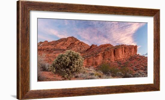 Cholla cactus and red rocks at sunrise, St. George, Utah, USA-null-Framed Photographic Print