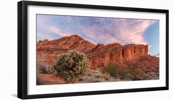 Cholla cactus and red rocks at sunrise, St. George, Utah, USA-null-Framed Photographic Print