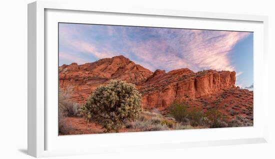 Cholla cactus and red rocks at sunrise, St. George, Utah, USA-null-Framed Photographic Print