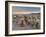 Cholla Cactus Garden, Joshua Tree National Park, California, USA-Sergio Pitamitz-Framed Photographic Print