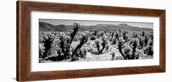 Cholla cactus in Joshua Tree National Park, California, USA-null-Framed Photographic Print