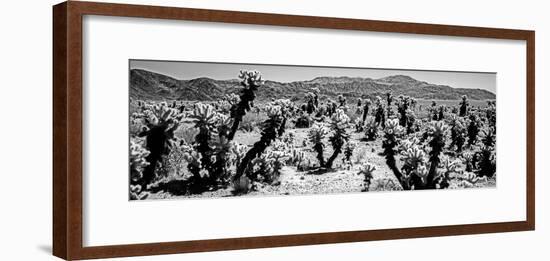 Cholla cactus in Joshua Tree National Park, California, USA-null-Framed Photographic Print