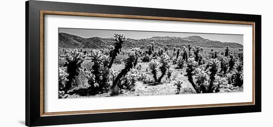 Cholla cactus in Joshua Tree National Park, California, USA-null-Framed Photographic Print