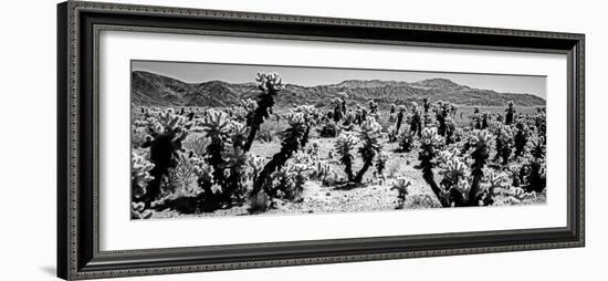 Cholla cactus in Joshua Tree National Park, California, USA-null-Framed Photographic Print