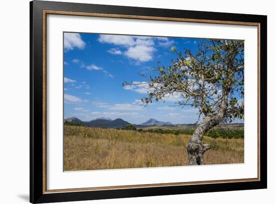 Chongoni Rock-Art Area, Malawi, Africa-Michael Runkel-Framed Photographic Print