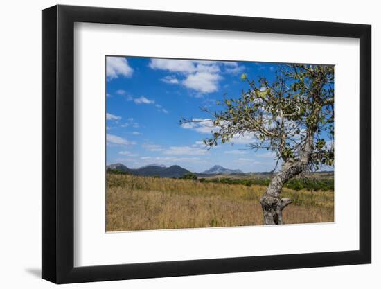 Chongoni Rock-Art Area, Malawi, Africa-Michael Runkel-Framed Photographic Print